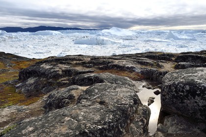 Groenland, cote ouest, baie de Disko, Ilulissat, fjord glacé classé Patrimoine Mondial de l'UNESCO qui est l’embouchure maritime du glacier Sermeq Kujalleq (Jakobshavn Glacier)