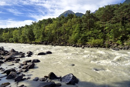 Switzerland, Canton of Vaud, Lavey-Morcles, the Rhone river still tumultuous a few kilometers upstream from Lake Geneva