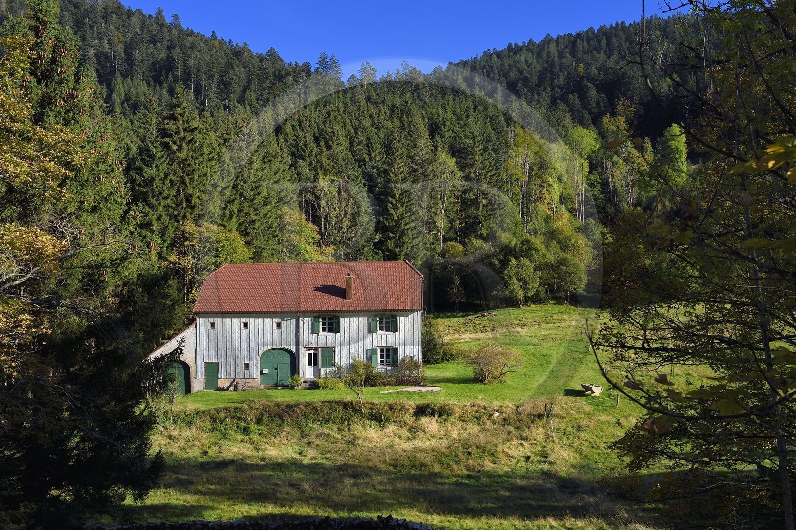 France, Vosges, Le Valtin, village in the upper valley of the Meurthe, facade of house covered with shingles or wooden slats used for protection against bad weather
