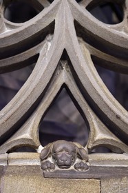 France, Bas-Rhin (67), Strasbourg, vieille ville classée au Patrimoine Mondial de l'UNESCO, la cathédrale Notre-Dame, la chaire du grand prédicateur Geiler de Kaysersberg réalisée par le sculpteur Hans Hammer en 1485, sculpture du « petit chien de Geiler » peut être une allusion au prédicateur dominicain (domini canis soit le chien du Seigneur) et à la fidélité