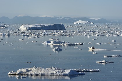 Groenland, cote ouest, hors-bord entouré d'icebergs dans la baie de Disko au large d'Ilulissat