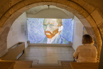 France, Bouches du Rhone, Regional Natural Park of the Alpilles, Saint Remy de Provence, Estrine Museum, presentation of Van Gogh