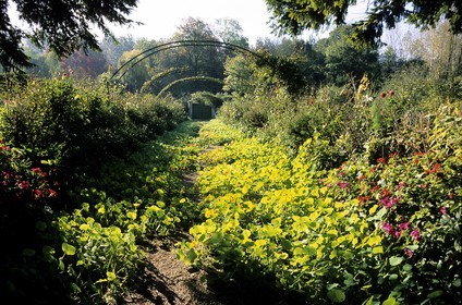 France, Eure (27), Giverny, jardin de Claude Monet