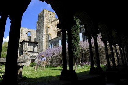 France, Aude (11), Saint-Martin-le-Vieil, ancienne abbaye cistercienne de Villelongue et chambre d'hôte, l'ancienne abbatiale depuis le cloître