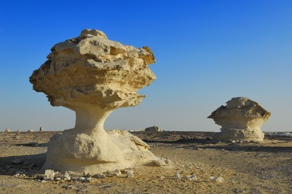 Egypt, Libyan Desert, the White Desert North of Farafra
