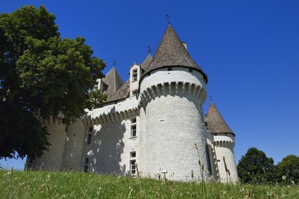 France, Dordogne, Purple Perigord, the castle of Monbazillac