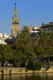 Espagne, Andalousie, Séville, en bordure du fleuve Guadalquivir, La Giralda