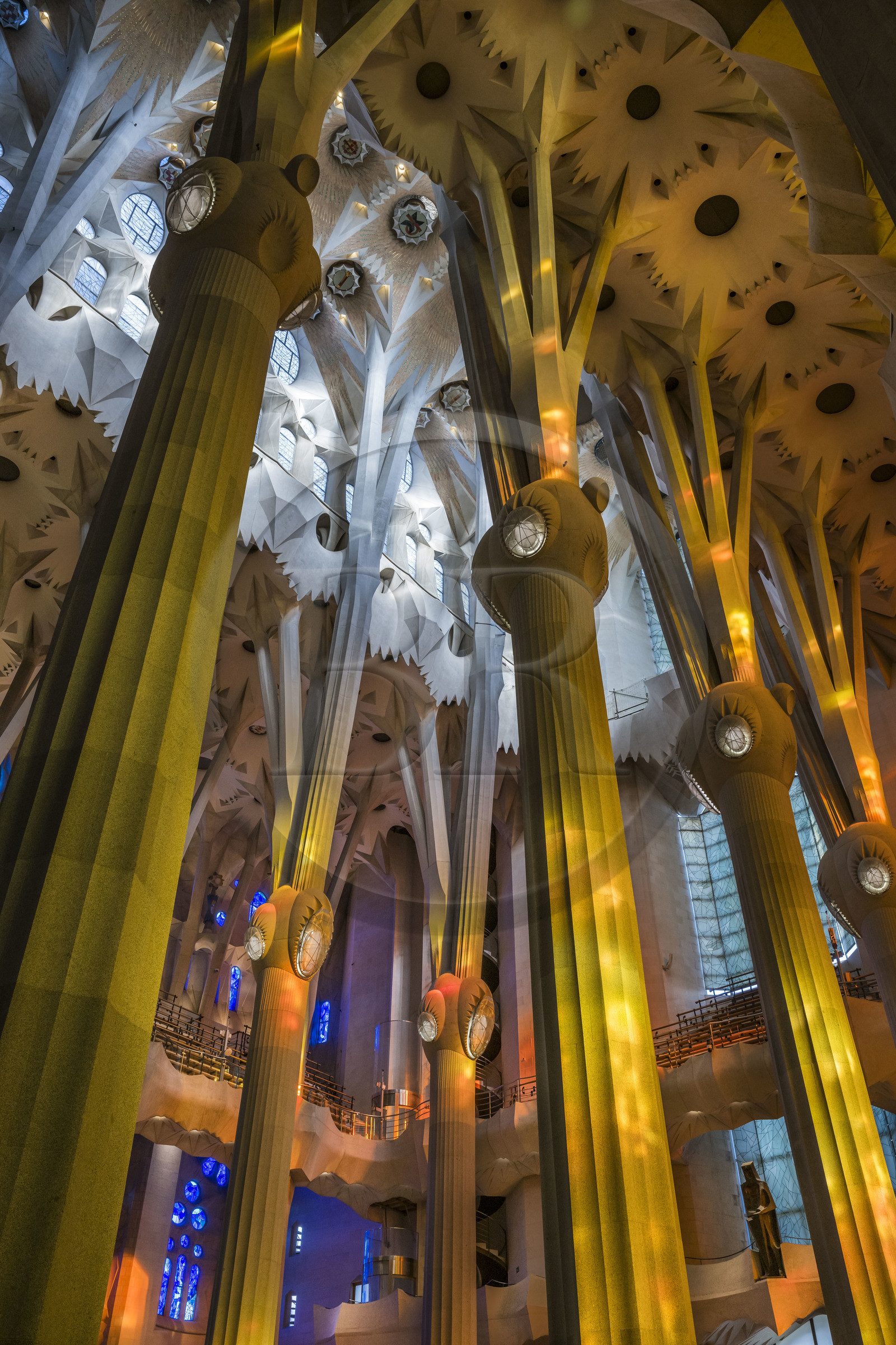 Espagne, Catalogne, Barcelone, quartier de l'Eixample, basilique de la Sagrada Familia de l'architecte du modernisme catalan Antoni Gaudi classée Patrimoine Mondial de l'UNESCO, au dessus du noeud, les colonnes du vaisseau central (nef) se subdivisent en branches tel un arbre, éclairées par les projections chaudes des vitraux du coté de la facade de la Passion