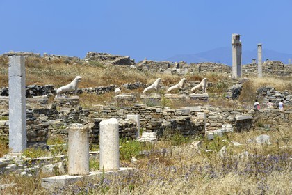 Greece, Cyclades islands, Delos, listed as World Heritage by UNESCO, the archaeological site of Delos, Apollo's Sanctuary, the most ancient city of the Aegean Sea, the Terrace of the Lions