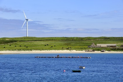 Royaume-Uni, Ecosse, Iles Orcades, Ile de Burray, Weddell Bay et éolienne