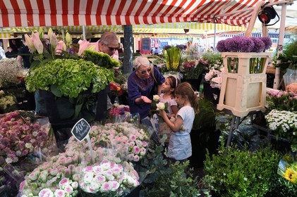 France, Alpes-Maritimes (06), Nice, vieille ville, marché du cours Saleya, marché aux fleurs