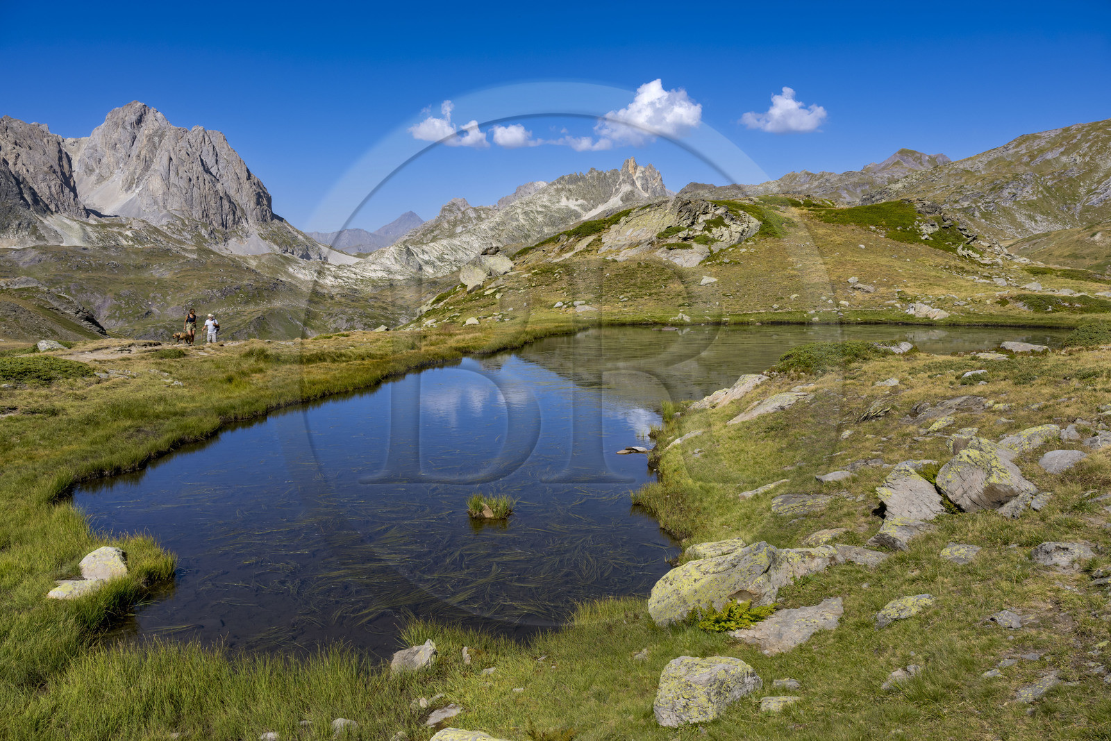 France, Hautes Alpes (05), le Briançonnais, Névache, haute vallée de la Clarée, randonneurs au petit lac entre le lac Long et le lac Rond, le massif des Cerces en arrière-plan