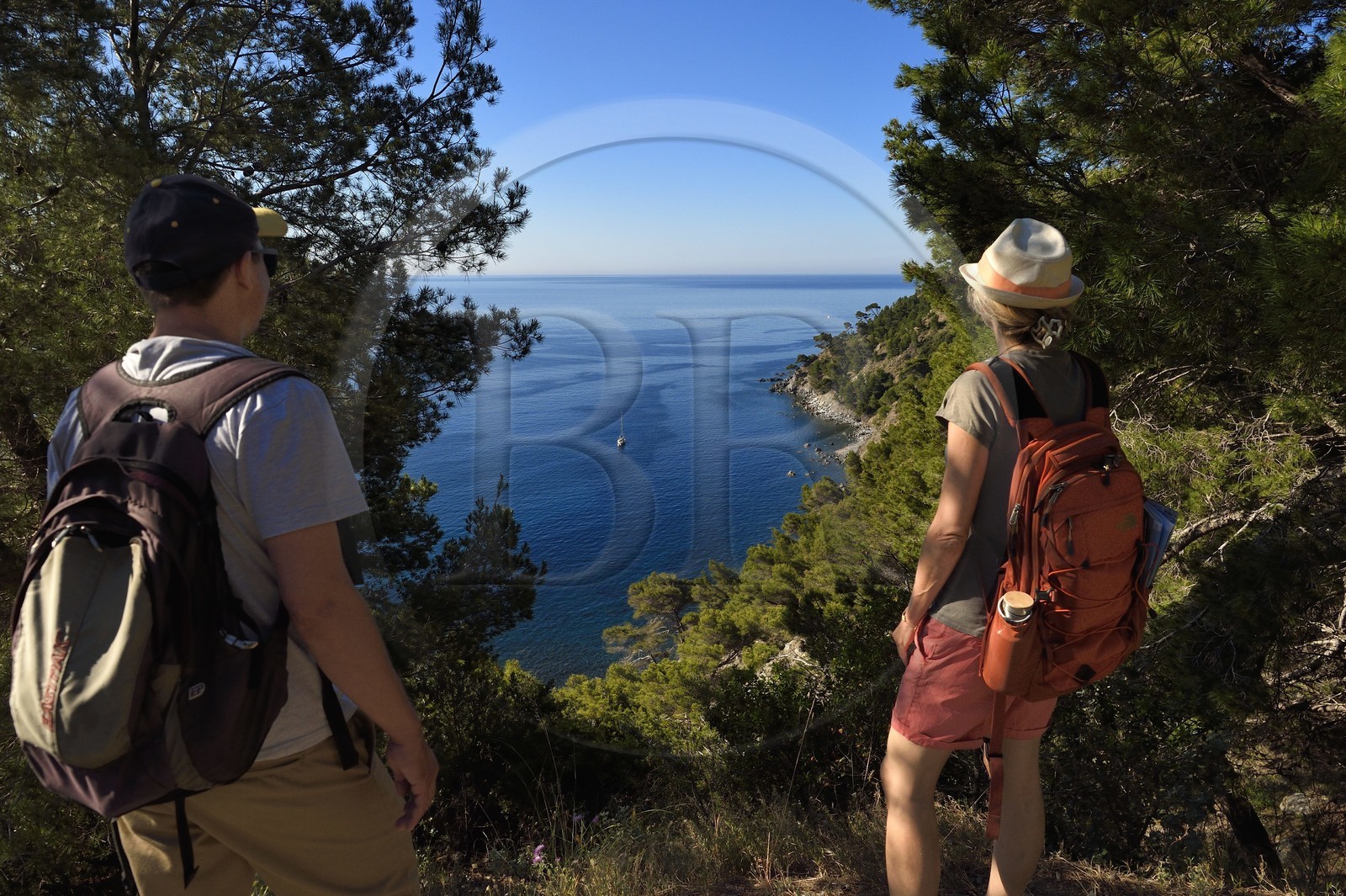 France, Var (83), La Seyne-sur-Mer, randonnée dans le massif du Cap Sicié le long du chemin du Joncquet en contrebas de la Corniche Merveilleuse