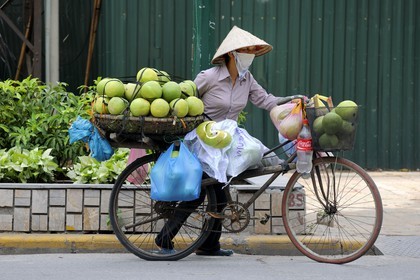 Vietnam, Hanoï, vieille ville, marchande de fruits à vélo
