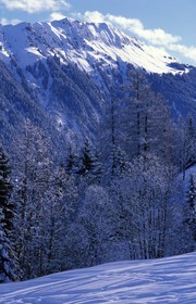 Switzerland, region of Bern (Bernese Oberland), Saanenland, the mountain in Gstaad