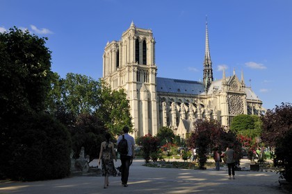 France, Paris (75), île de la Cité, la cathédrale Notre-Dame depuis le square René Viviani