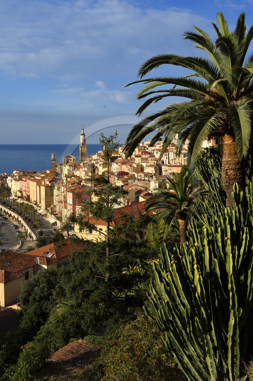 France, Alpes-Maritimes (06), Menton, la vieille ville dominée par la Basilique Saint Michel