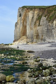 France, Seine-Maritime, Pays de Caux, Alabaster Coast (Cote d'Albatre), between Yport and Etretat, cliff towards Benouville and the beach at low tide