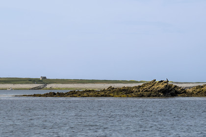 France, Finistère, Iroise Sea, Molene archipelago, Quemenes Island