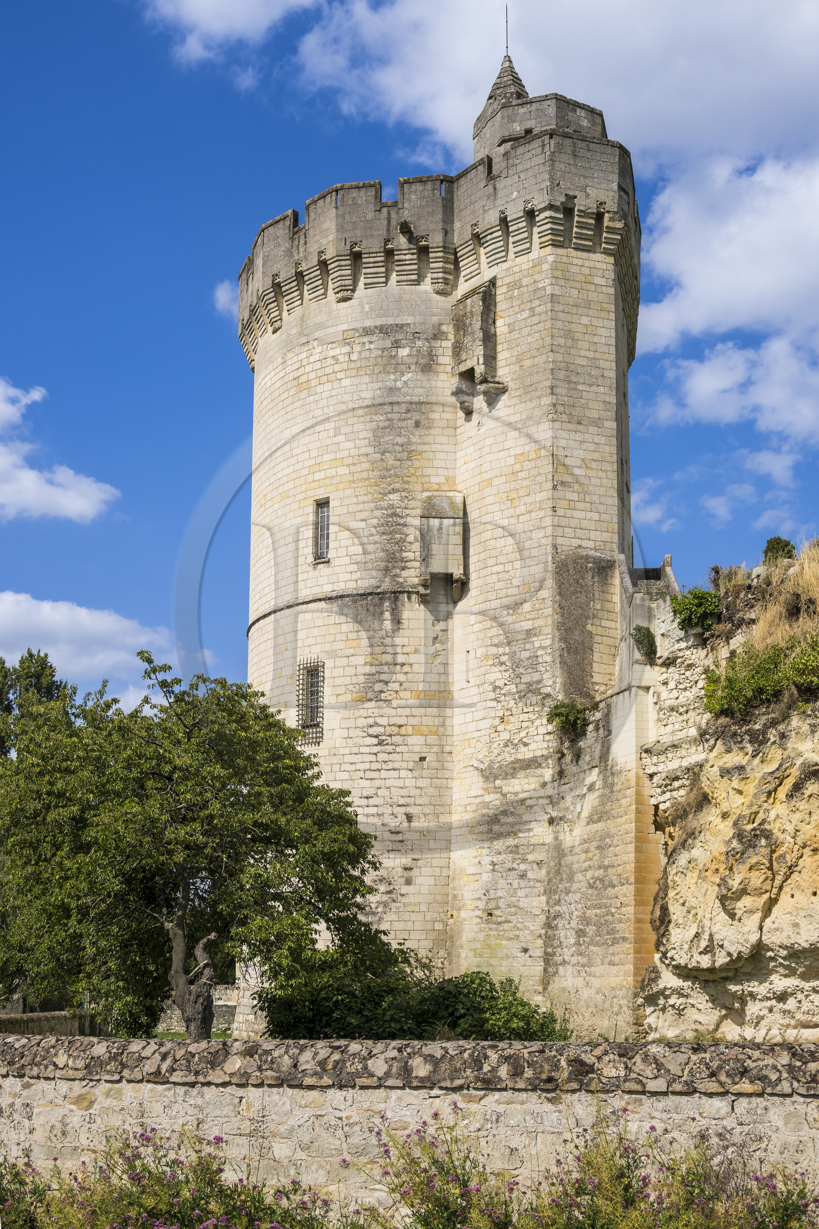 France, Maine-et-Loire (49), vallée de la Loire classée au Patrimoine Mondial par l'UNESCO, Gennes-Val-de-Loire, la Tour de Trèves