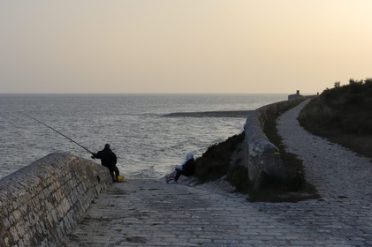 France, Charente-Maritime (17), ile de Ré, pêcheur sur la digue qui longe le Fier d'Ars