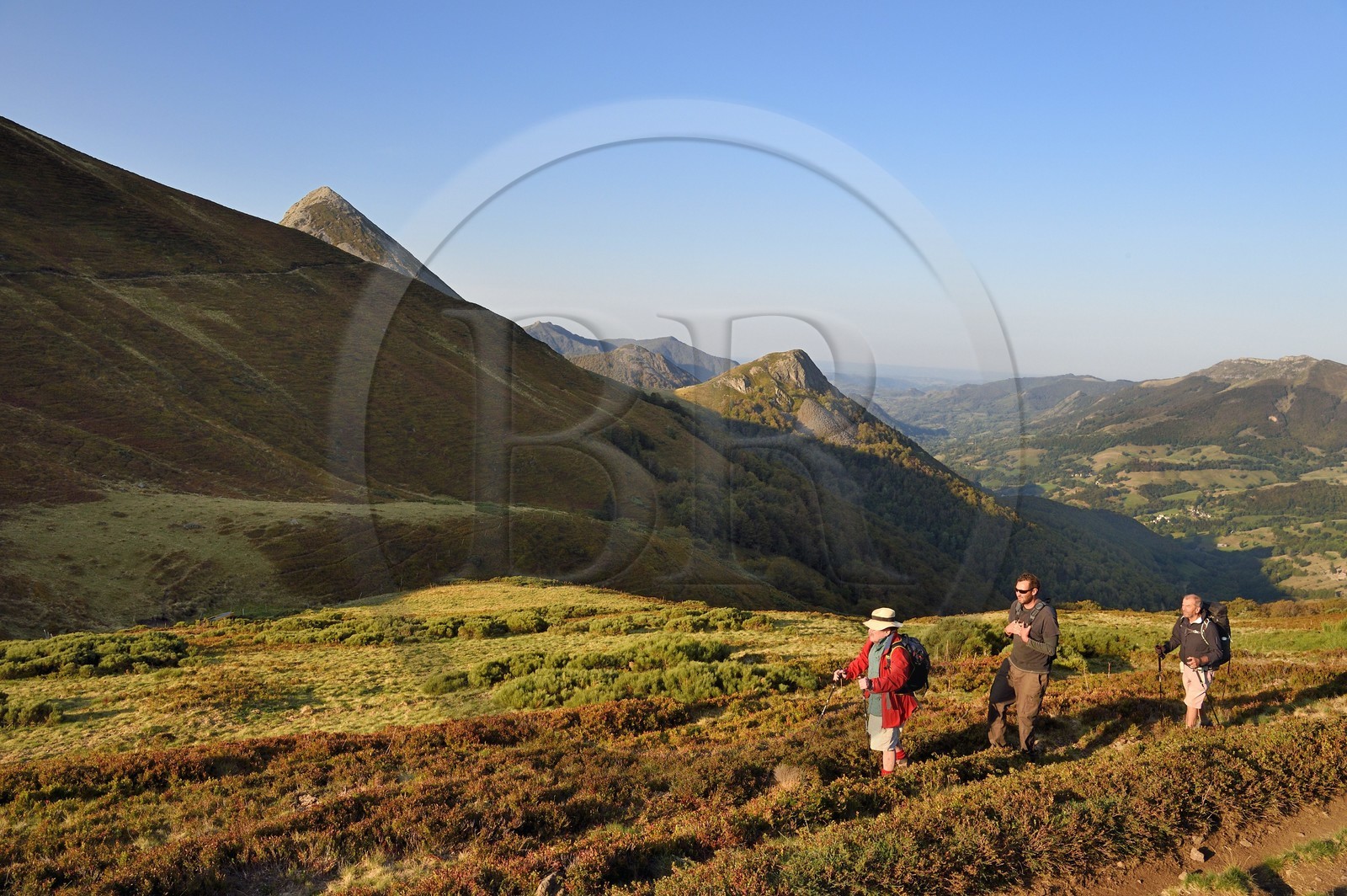 France, Cantal (15), Parc Naturel Régional des Volcans d'Auvergne, Le Lioran, col de Rombière surplombant la vallée de la Jordanne, randonneurs sur le chemin de Saint-Jacques de Compostelle par la Via Arverna, en arrière plan le Puy Griou émergeant à gauche et le Griounou à sa droite