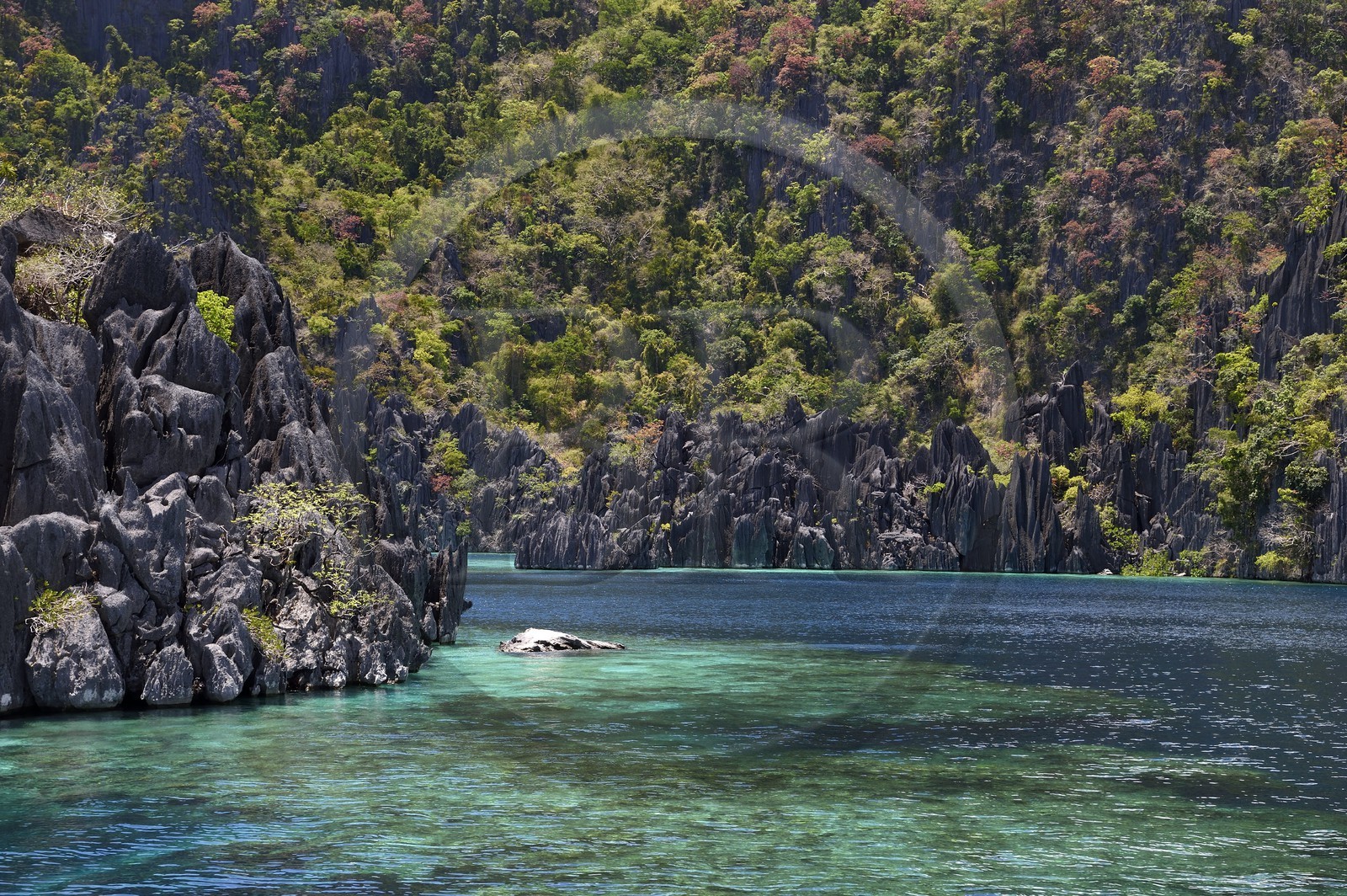 Philippines, Calamian Islands dans le nord de Palawan, Coron Island Natural Biotic Area, lagon et falaises de calcaire du Permien d'origine jurassique