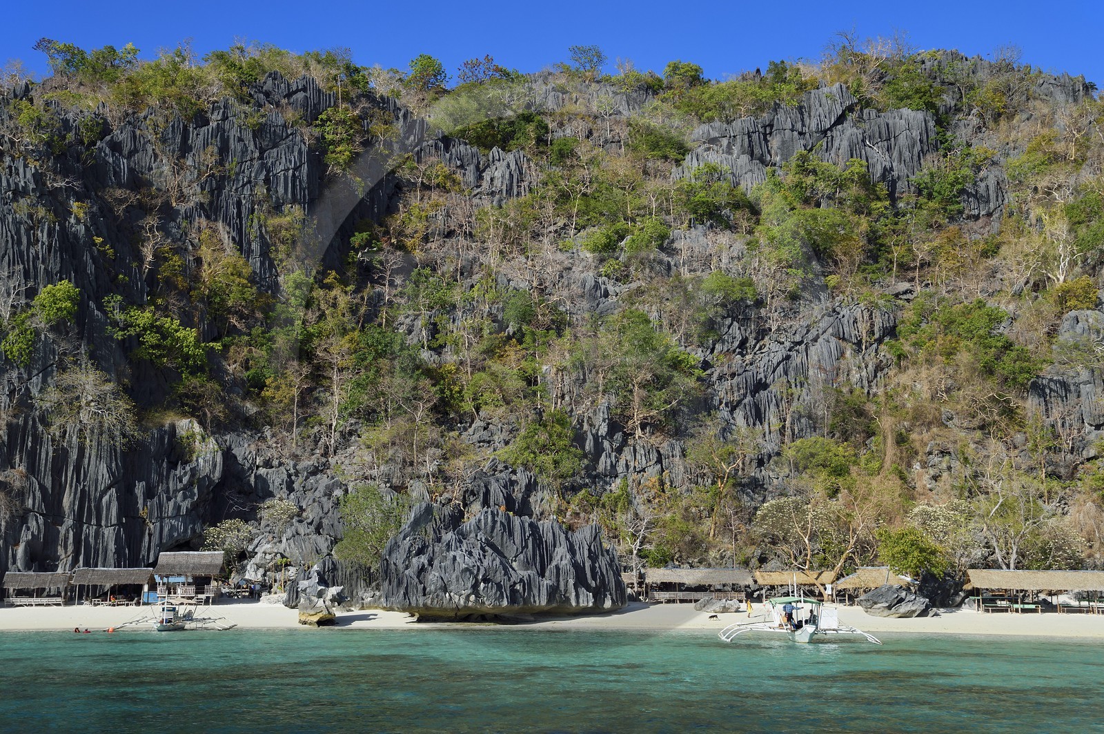 Philippines, Calamian Islands dans le nord de Palawan, Coron Island Natural Biotic Area, pirogue à balancier et plage de Banul Beach au pied des murs géants des falaises de calcaire