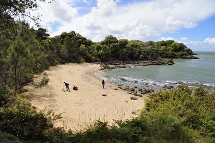 France, Charente-Maritime (17), Ile d'Aix, la crique de la plage des Sables d’Or