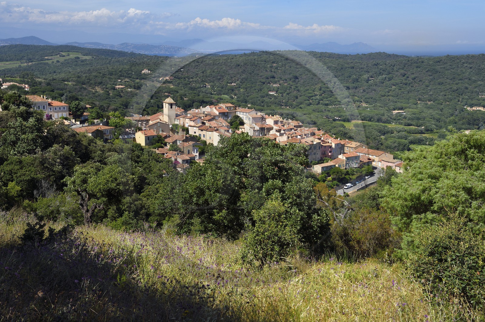 France, Var (83), Presqu'Ile de Saint-Tropez, Ramatuelle,