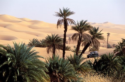 Libya, region of the desert, the Fezzan (Sahara), Erg Ubari, passage of a 4x4 in the oasis