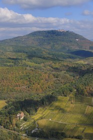 France, Bas Rhin, Orschwiller, Alsace Wine Road, Haut Koenigsbourg Castle in the Vosges forest and vineyards of the Haut-Rhin at the foot of the Parc Régional des Ballons (aerial view)