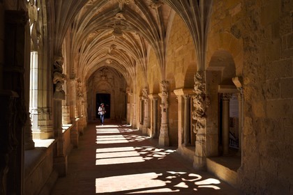 France, Dordogne (24), Périgord Noir, Le Buisson-de-Cadouin, abbaye de Cadouin, étape sur le chemin de Compostelle, site classé Patrimoine Mondial de l'UNESCO, le cloitre du XVe siècle, galerie orientale qui s'ouvre sur la salle capitulaire à droite et la Porte Royale en arrière plan
