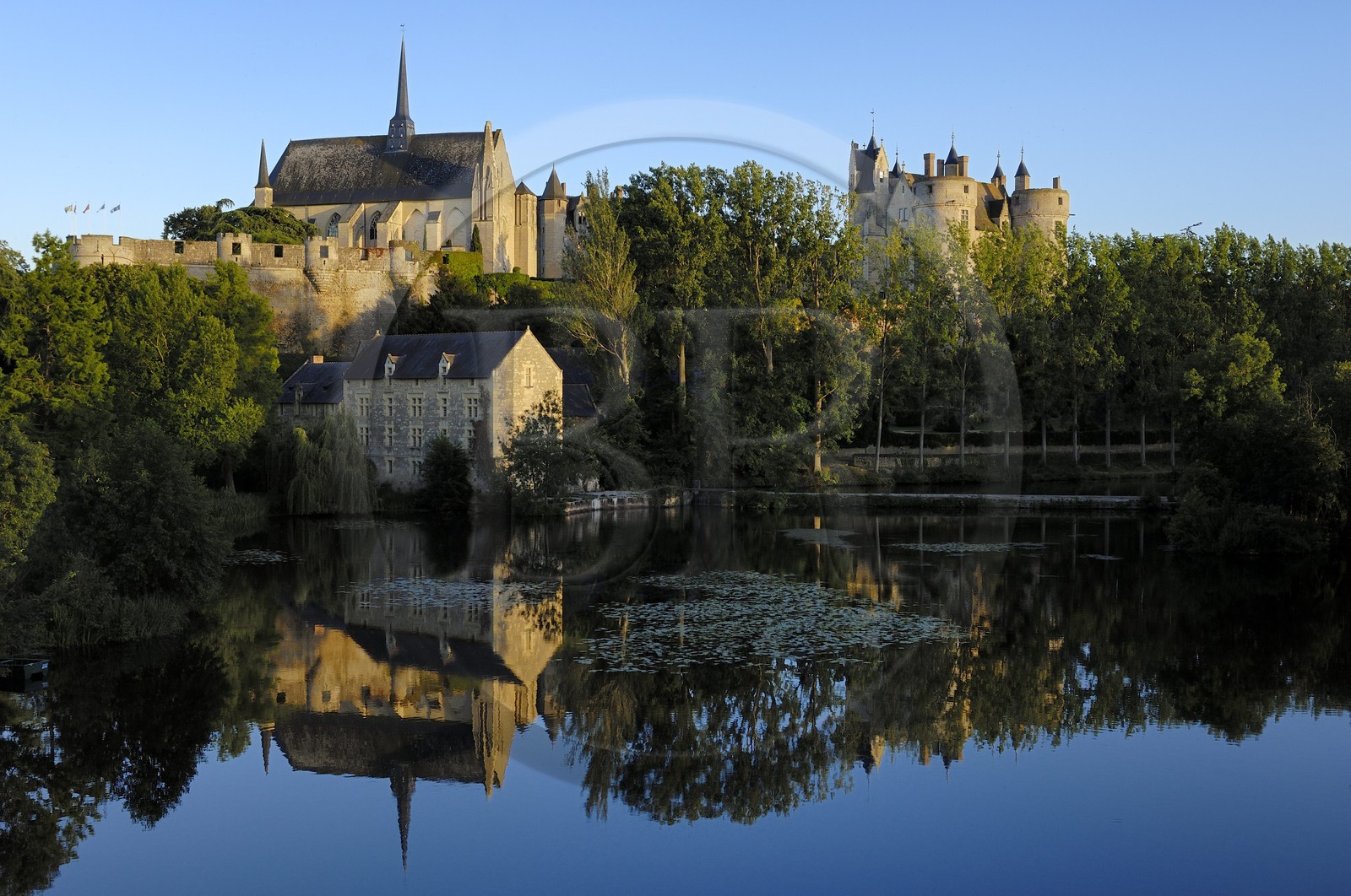 France, Maine et Loire, Chateau de Montreuil Bellay