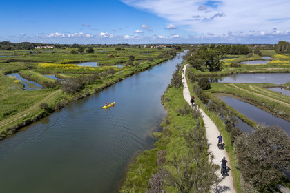 France, Vendée (85), Les-Sables-d'Olonne, marais de l'Auzance, cavalier et cyclistes sur la piste de la véloroute Vendée Vélo Tour et Vélodyssée le long du canal de la Bauduère (vue aérienne)