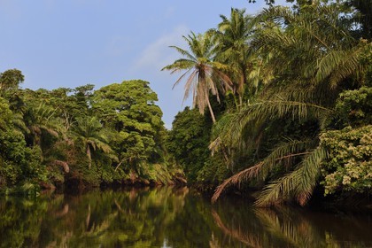 Gabon, Ogooue-Maritime Province, one of the many rivers in the Fernan Vaz (Nkomi) lagoon