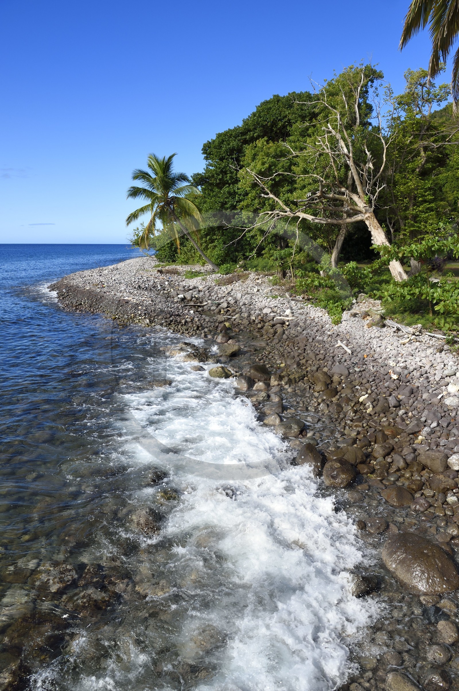 Caraïbes, Ile de la Dominique, Portsmouth, plage de galets dans la baie de Prince Rupert
