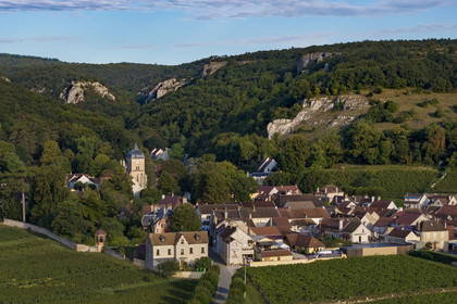 France, Cote d'Or, cultural Landscape of the climates of Burgundy listed as World Heritage by UNESCO, Route des Grands Crus (road of Vintage Wines), vineyard of the Côte de Nuits, the village of Chambolle-Musigny at the foot of a valley