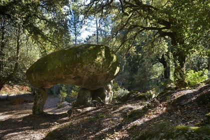France, Corse du Sud, Alta Rocca, chaos of Paccionitoli south of Zonza, dolmen