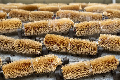 France, Vaucluse, L'Isle sur la Sorgue, Brun de Vian-Tiran Factory, wool textile industry, natural thistles that allow you to scratch the woolly fabric and reveal the fleece, the puffiness and the softness, on a machine called the woolen machine