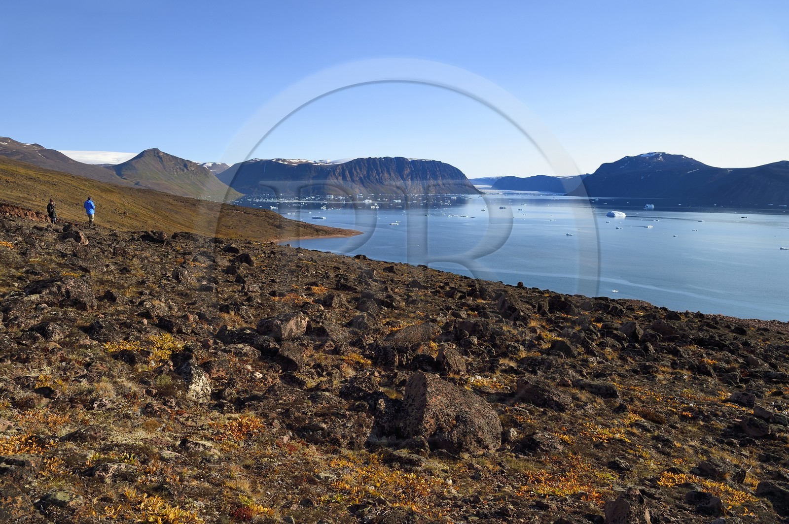 Groenland, cote Nord-Ouest, Murchison sound au nord de la baie de Baffin, randonneurs dans le fjord Robertson à Siorapaluk