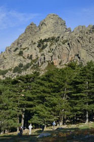France, Corse du Sud, Alta Rocca, Aiguilles de Bavella (Bavella Needles), hikers on the GR 20 (Grande Randonnée itinerary)