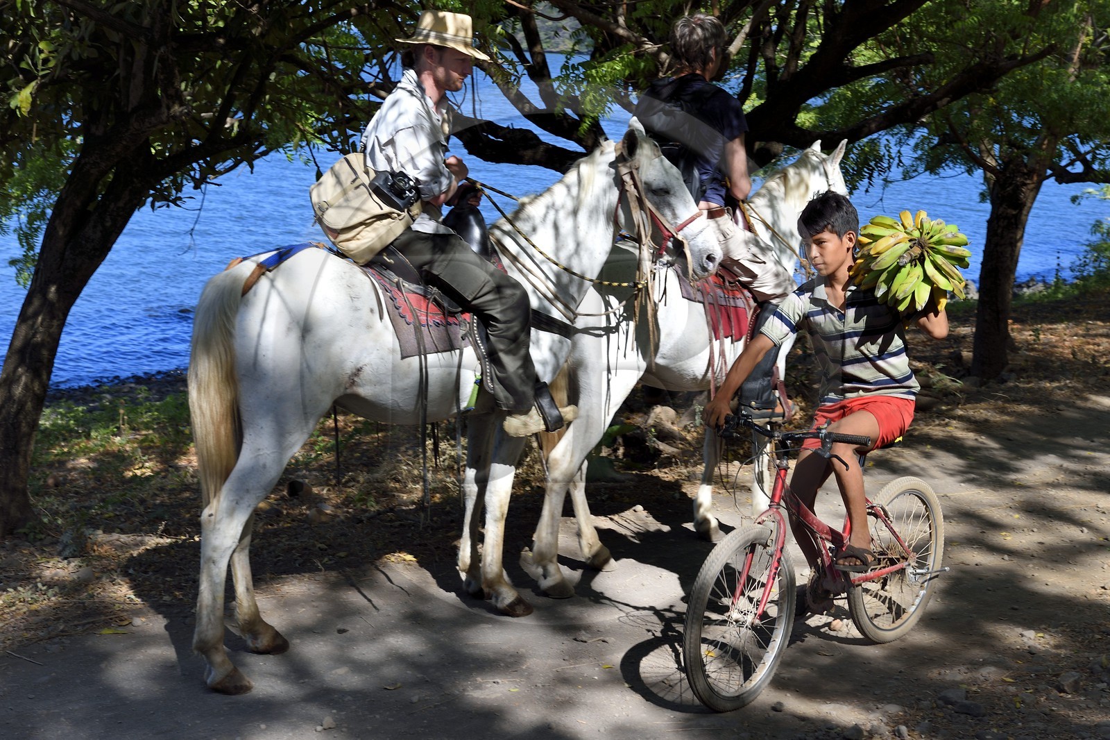 Nicaragua, Ile d'Ometepe sur le lac Nicaragua, cavaliers en randonnée en bordure du lac et jeune cycliste transportant un régime de banane Nicaragua, Ile d'Ometepe sur le lac Nicaragua, cavaliers en randonnée en bordure du lac et jeune cycliste transportant un régime de banane