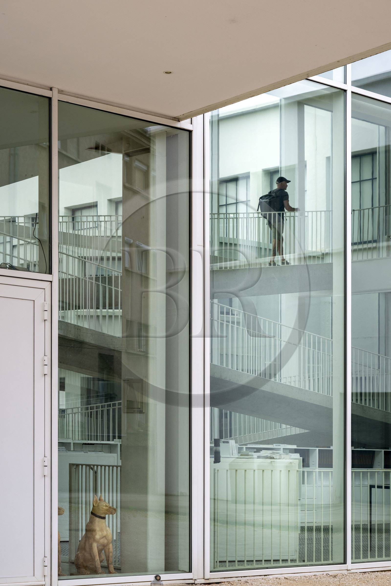 France, Côte-d'Or (21), Dijon, le Consortium Museum, centre d'art contemporain ouvert en 2011 conçu par les architectes Shigeru Ban et Jean de Gastines