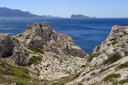 France, Bouches du Rhone, Marseille, Calanques National Park, archipelago of Frioul islands, Pomegues island and, in the background, the island Maïre at the western end of the massif of the calanques of Marseilles