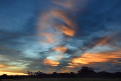 Namibie, région de Otjozondjupa, Otjiwarongo, coucher de soleil sur le bush