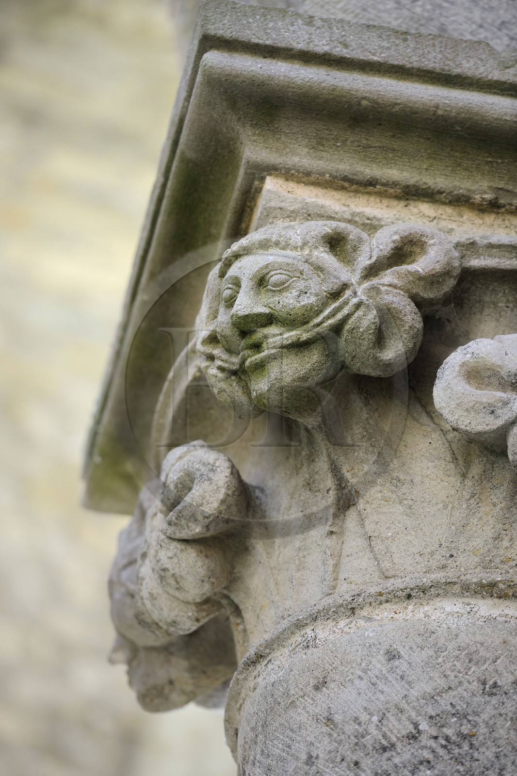 France, Aude (11), Saint-Martin-le-Vieil, ancienne abbaye cistercienne de Villelongue, têtes au pilier sud-ouest de la nef