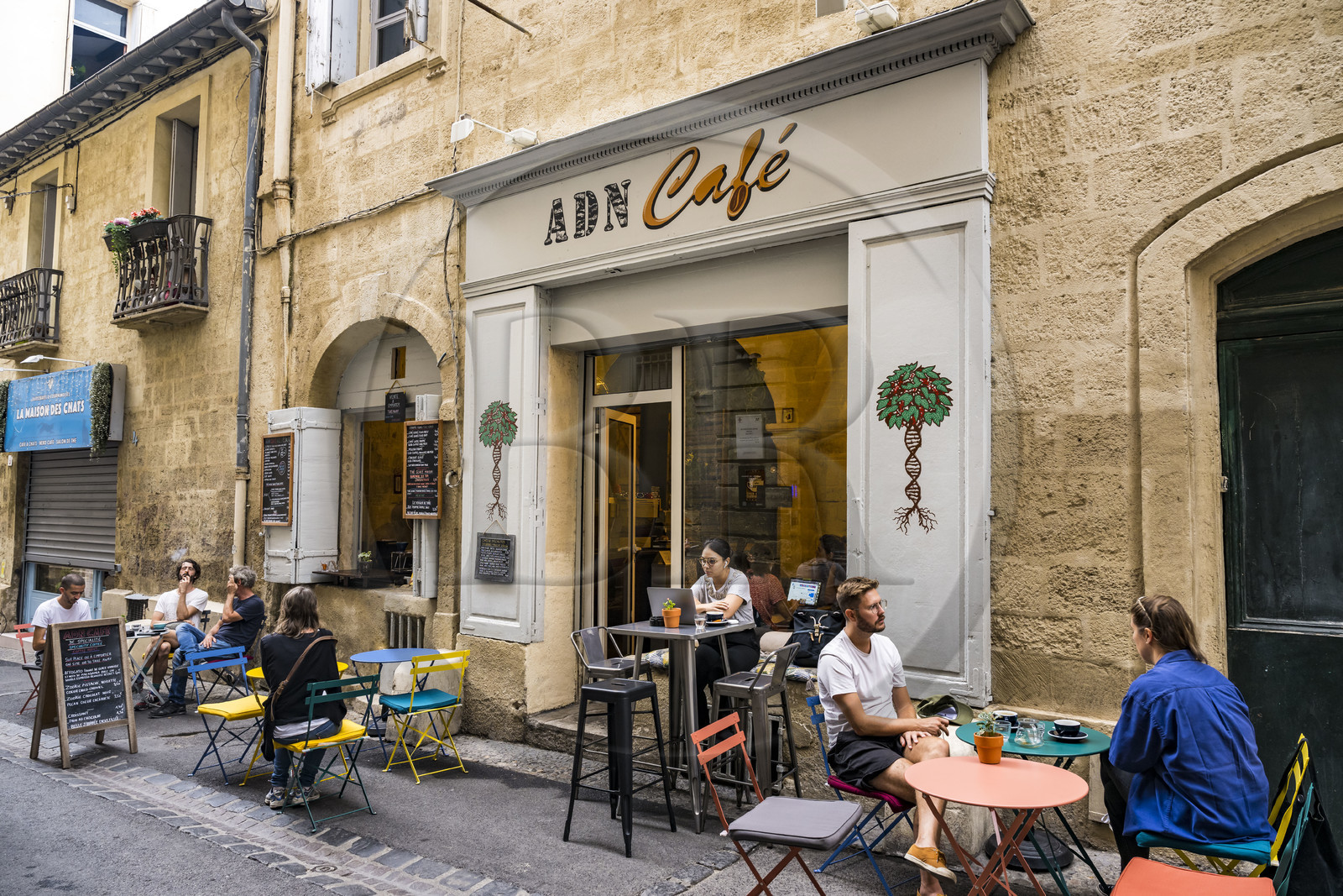 France, Hérault (34), Montpellier, centre historique appelé l’Ecusson, l'ADN Café rue de la Carbonnerie