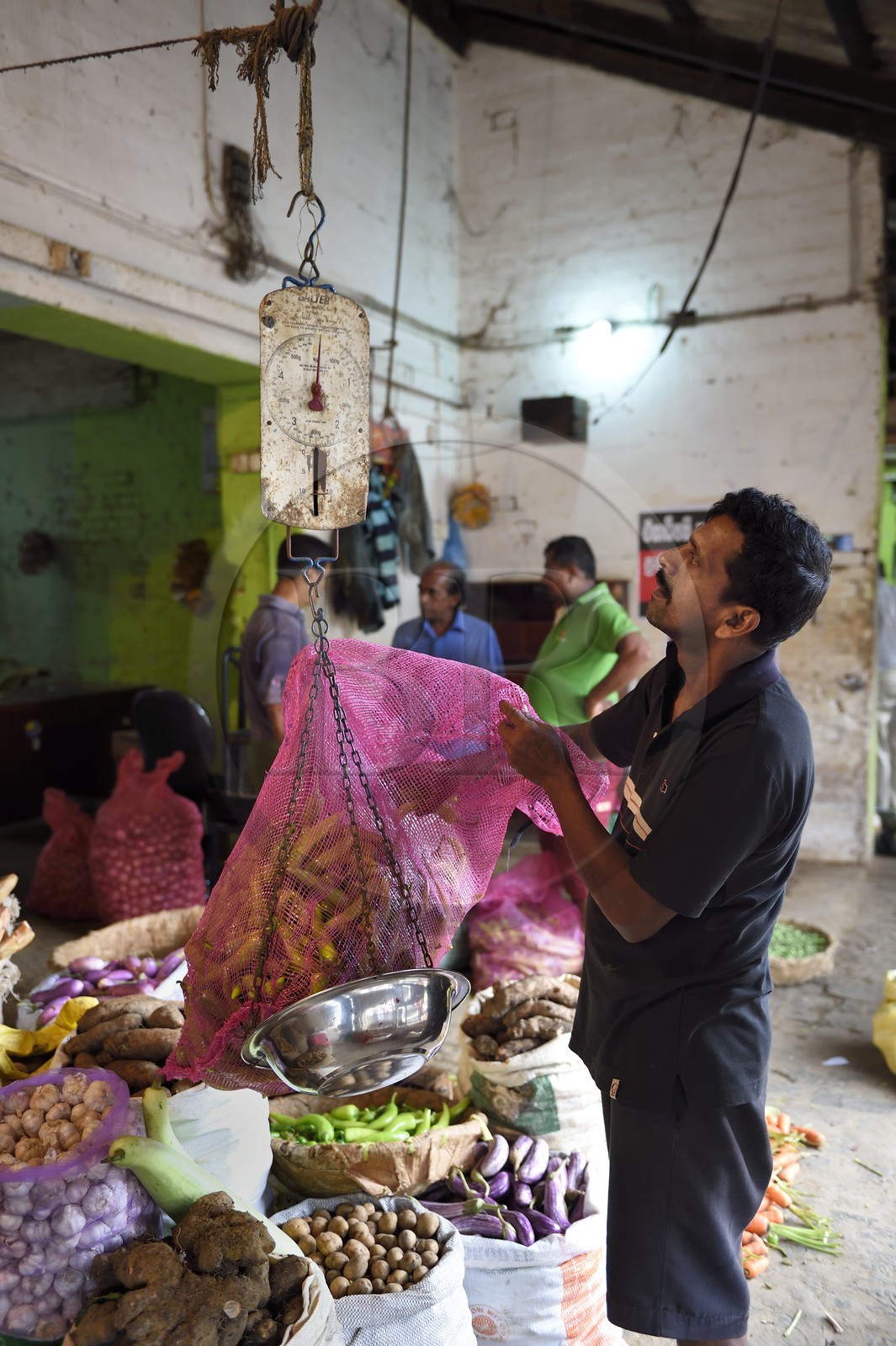 Sri Lanka, province de l'ouest, district de Colombo, Colombo, le marché de fruits et légumes Manning dans le quartier de Pettah