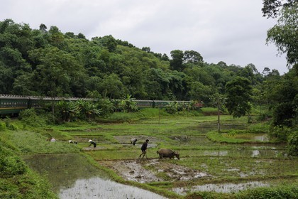Vietnam, day train from Lao Cai to Hanoi